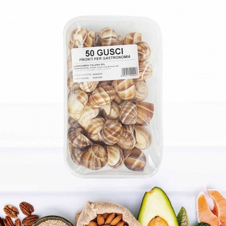 法國蝸牛殼 10個